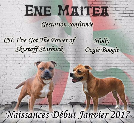 Ene Maitea - Gestation Confirmée