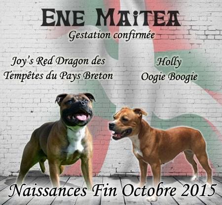 Ene Maitea - Gestation Confirmée